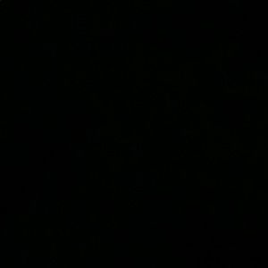 Meet your Posher, Irene